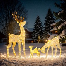 Christmas Lighted Reindeer