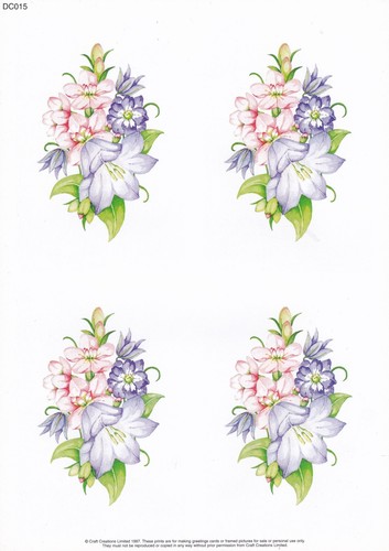 Craft creations a4 topper - 5,