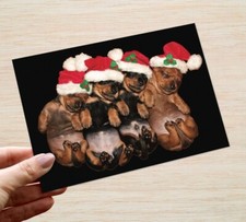 Christmas Cards & Packs