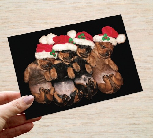 Christmas cards packs - christmas,
