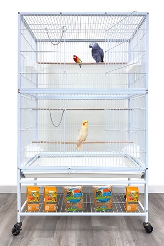 Xlarge x18 x52 5 - xlarge, bird