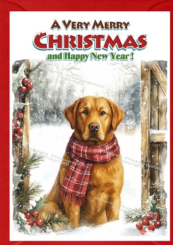 Labrador retriever red - labrador, fox