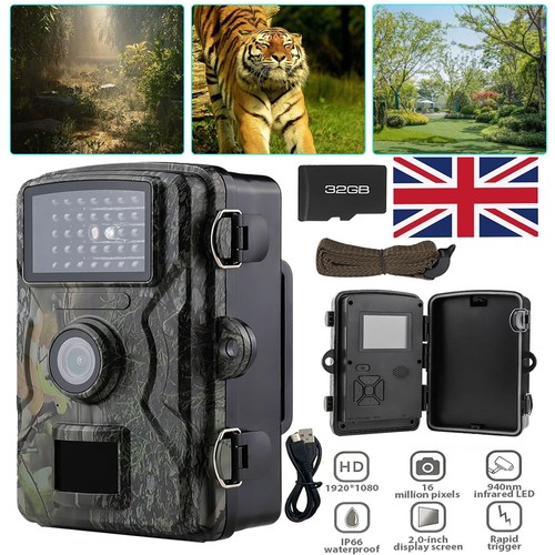Wildlife trail camera night - 4k,