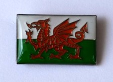 WELSH FLAG PIN BADGE NEW 