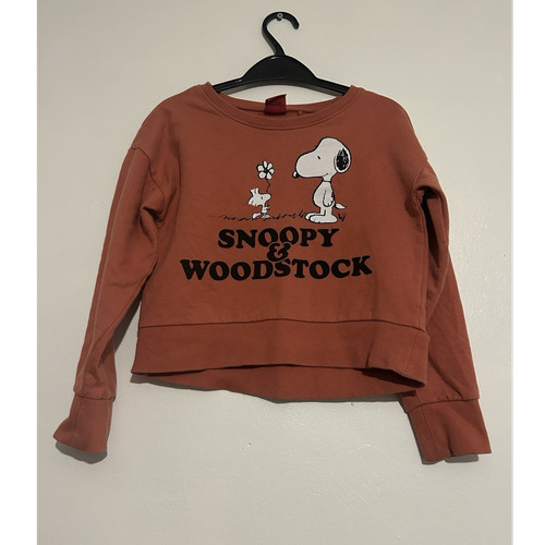 Next snoopy woodstock - next, &