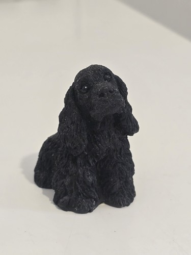 Black minature tiny - minature,