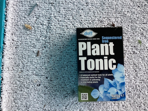 Economical portland plant - portland,