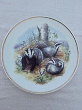 Badgers Wildlife of Britain