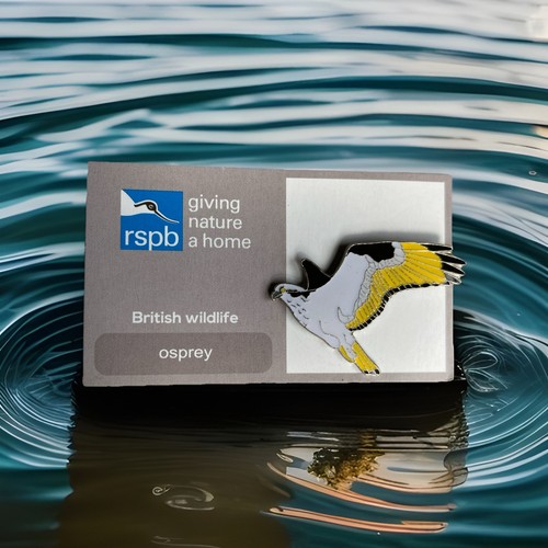 Rspb pin badge - gnah, osprey