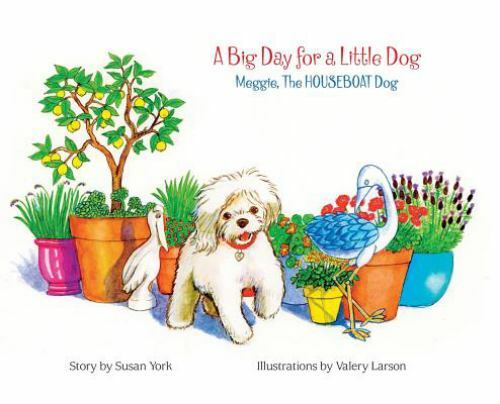 Big day for little dog - day,
