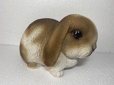 RABBIT BUNNY MINI LOP ANIMAL