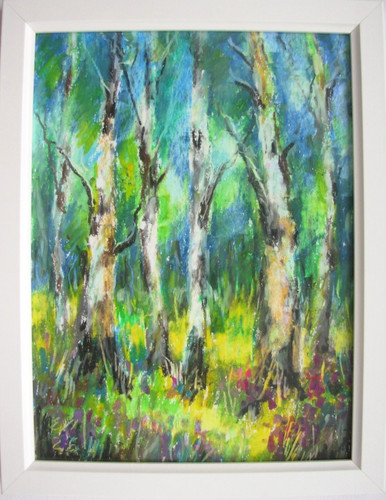 Birch trees grove framed - grove,