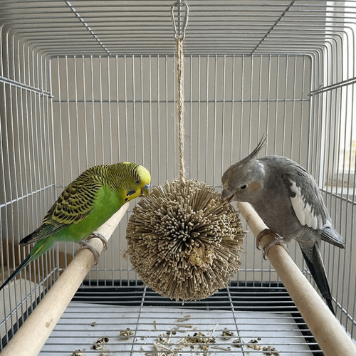 Natural grass bird chewing - chewing, toy