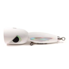 Giant trevally tuna striper - gt,