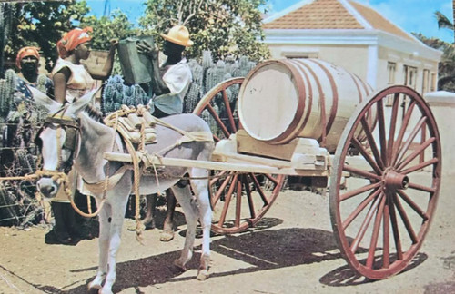 1962 vintage curacao water - 1962,