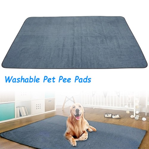 Puppy pet training pads - puppy,