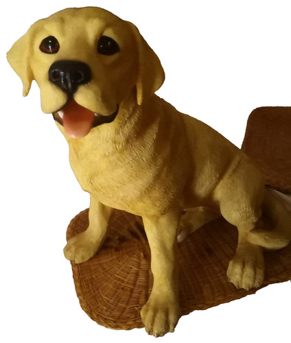 Large yellow labrador dog - large,