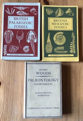 British palaeozoic mesozoic - palaeozoic,