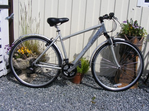 Ladies girls carrera bike - ladies,