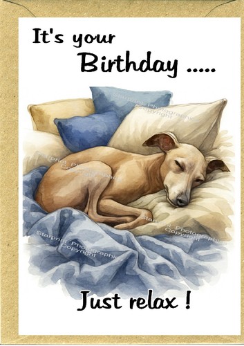 Italian greyhound dog birthday - greyhound,