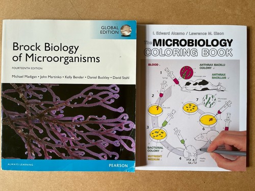 Microbiology university bundle - microbiology,
