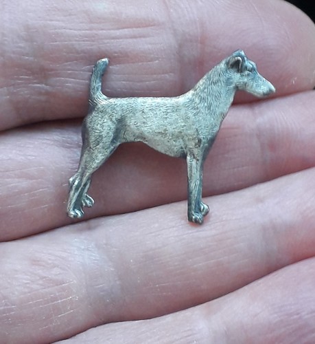 Smooth fox terrier - smooth,