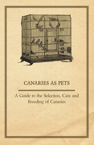 Canaries pets a - as, to