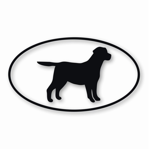 Labrador retriever dog - retriever,