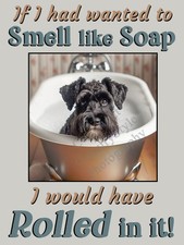 Schnauzer Black Dog Funny