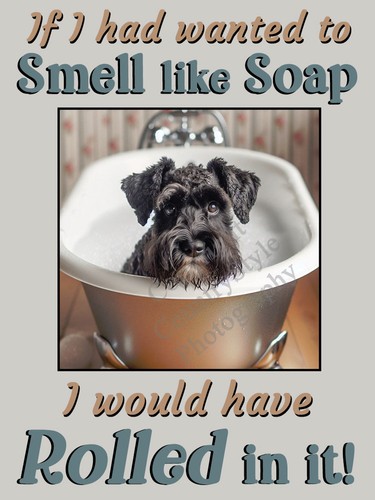Schnauzer black dog funny - black,