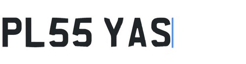 Players reg plate - players,