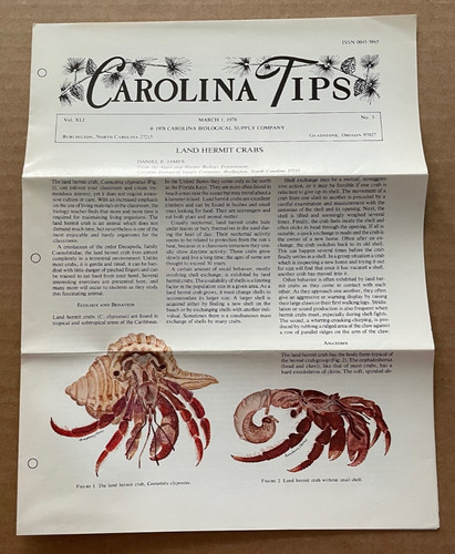 Vintage carolina tips brochure - carolina,