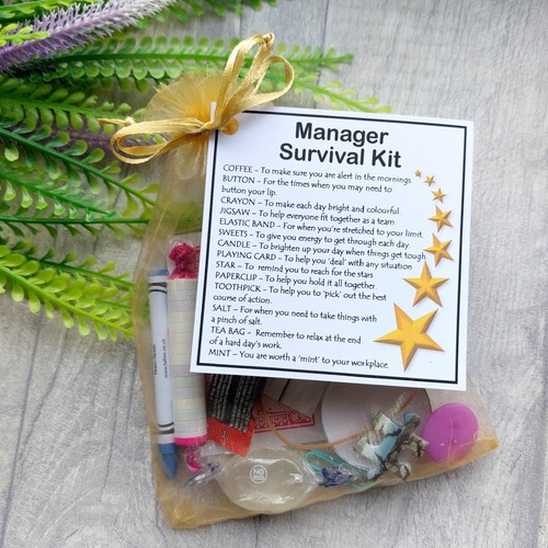Manager assistant - manager,,
