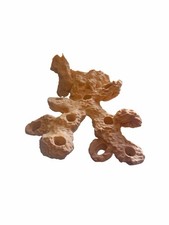 Magnetic Coral Frag Rock