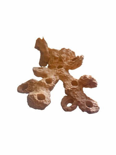 Magnetic coral frag rock - magnetic,