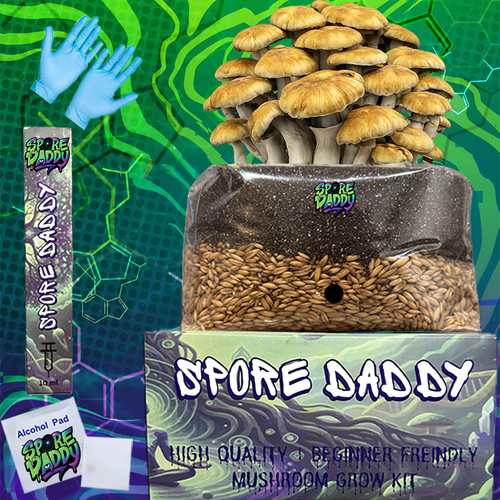 Spore daddy mushroom - mushroom, grow