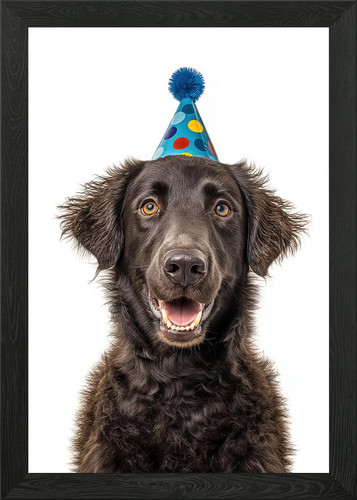 Curly coated retriever - curly-coated,