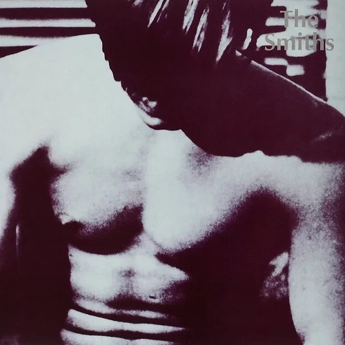 Smiths the vinyl - -, lp