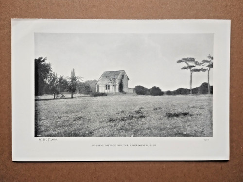 Daubeny cottage and the - daubeny,