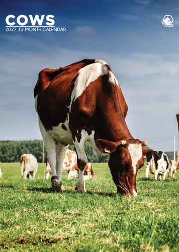 Cows 2027 wall calendar - cows,