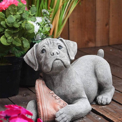 Cheeky puppy with - cheeky,