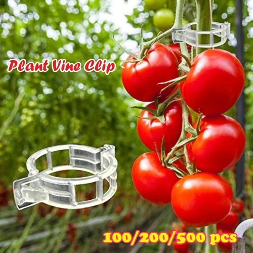 100 500pcs 25mm garden plant - 100-500pcs,