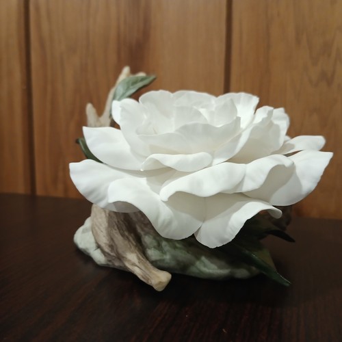 Boehm gardenia f250 - gardenia,