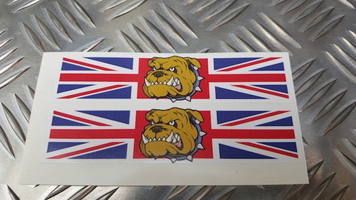 Triumph colour dog uk - colour,