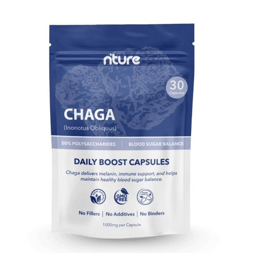 Organic chaga mushroom - chaga, extract