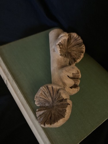 Decorative driftwood