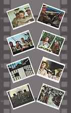 Papillon 8x Original UK FOH