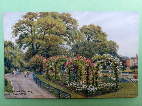 Post card salmon - salmon, quinton