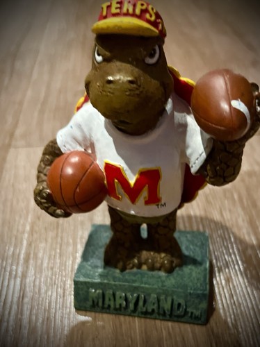 Maryland terrapins terps - terrapins,