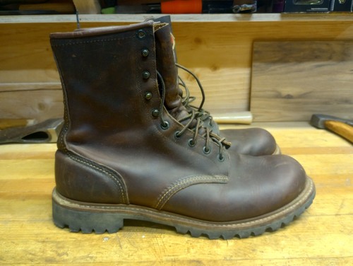 Red wing irish setter - red,